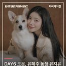없음 네이버블로그