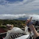 소풍날김밥 이미지