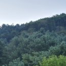 상지농장 이미지