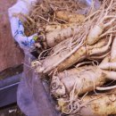 농수산물 직판장 이미지