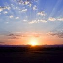 바른식 시골보쌈 앤 옹심이 이미지