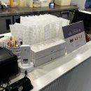 호두당 부천중동점 이미지