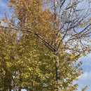 포레스트 피티 스튜디오(FORREST PT STUDIO) 이미지