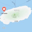 카페작동(Cafe Jakdong) | 제주한림카페 살리다(Salida) 후기