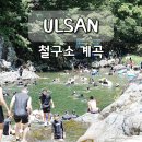 산고을힐링 펜션 | 부산 근교 계곡 여행 울산 배내골 철구소 여름 물놀이 스팟