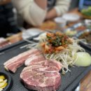 돈돈몽키