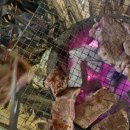 발리매점 이미지