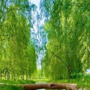 평내약국 이미지