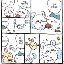 모몽가