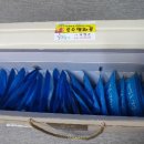 신안 자은 청푸름식품