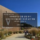 아르떼뮤지엄 강릉 관람 후기_은경과 미디어를 통한 색다른 공간 경험(티바 체험 포함)