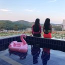 웰스테이 풀빌라 이미지