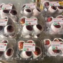 배론농장 이미지