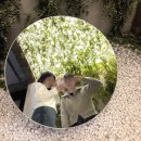 구월동 감성 카페 추천, 그리너리 하우스 방문 후기(w.주차, 에그인헬 브런치, 시그니처 음료)