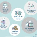 숲 바다 이미지