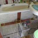 곰실화장실 이미지