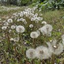 도열농장 이미지