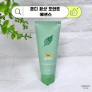 원샷 | 헤어에센스 상한 머리 복구 콘디원샷 포인트 에센스 후기