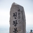 4월 13일 (목) 제445차 경북 대구시 달성군 비슬산(1.084m)참꽃 산행 (100대명산) 이미지