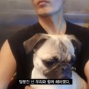 송도 숨게스트하우스 이미지