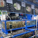 장성중앙시장 | 가락시장 맛집 횟집 <장성수산> 가락시장 맛집 전어 추천