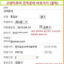 고양이투어