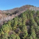잘:부동산공인중개사사무소 이미지