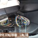 레스타 2019. 깜박이 이미지