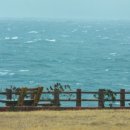 남쪽바다 작은 섬 이미지