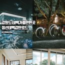 카페 태백로2417 | 강원도 태백 아이와 가볼만한곳 감탄로드 정선 1박2일 여행코스