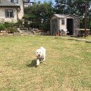 터 펜션 이미지