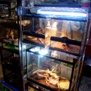 지호농장 이미지