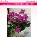 은세약국 네이버블로그