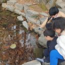 신나는학교(대안학교) | 열음학교_개구리알 탐사대_인천초등대안학교