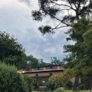 곡성-242 | 광주 근교 곡성가든 가족외식 스테이크,파스타 맛집 테라스가 넓은 [곡성가든]