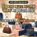 [명품 가방 계급도] 에루샤 서열 파괴 현상, 30대 남편이 본 샤넬 루이비통 디올 현실 비교 후기