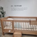 밀리엔스 의정부점, 데이베드 투어, 아기침대 구매후기