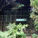 김녕관광지 이미지