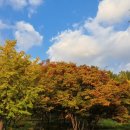 윤혜리정신건강의학과의원 이미지