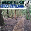 은혜로운팜 | 2024 지질트레일걷기대회 삼다수숲길 2코스 참여 후기(주차 정보)