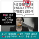 나이 60넘은 늙은이들은 이제 투표하지마라 !! &#34;더불어공산당늙은개들의 공동선언문&#34; 이미지