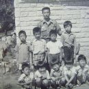 서산초교 이미지