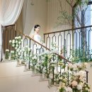 로즈호텔 | [공지] 더마레보호텔 밝은홀 오브로즈 본식스냅 &amp; dvd 만족후기