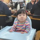 순풍농장 | [제주도 돌기념여행] 38개월 12개월 아이와 제주여행 - 보메와산 감귤따기 체험