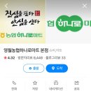 이후북스테이 | 갑자기 쓰는 영월 이후북스테이 숙소 후기