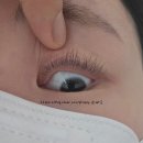 부평속눈썹 래쉬바이제이 C컬 속눈썹연장 솔직후기