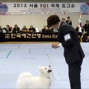 국제에프씨