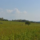 명한농장 이미지