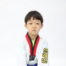 봉화태권도장 이미지
