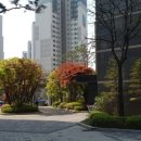 이주공인중개사사무소 이미지